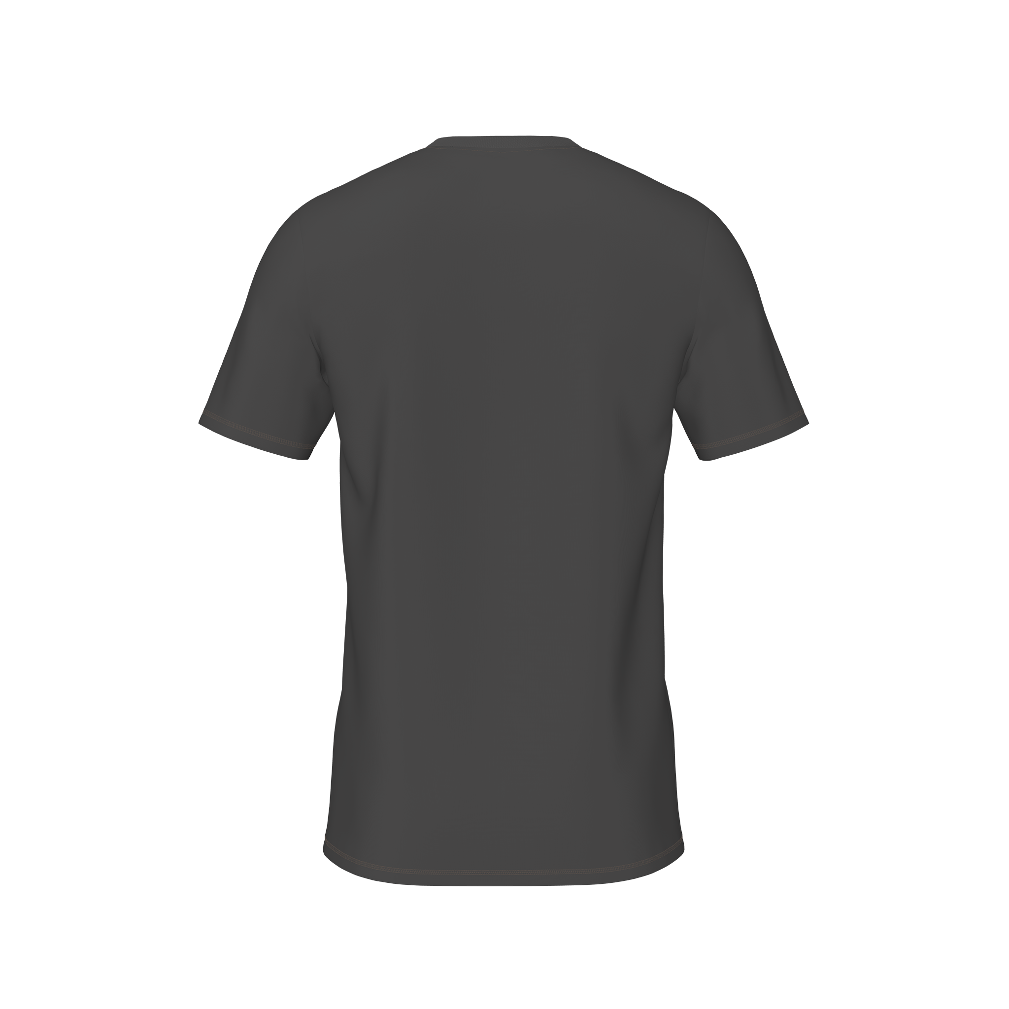 Caro T-Shirt - wolfgrey